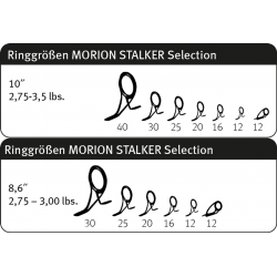 Sportex Morion Stalker Selection 10ft. 3,50lbs. wędka karpiowa